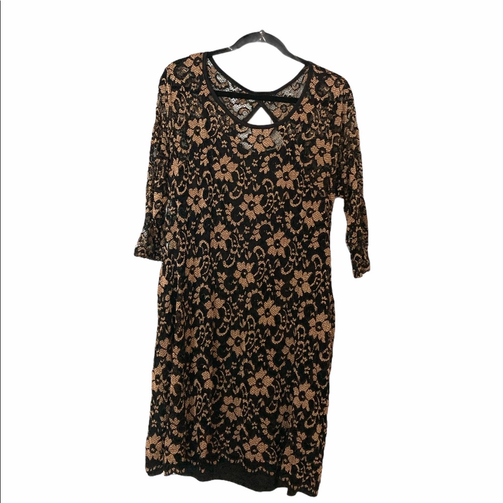 Almost Famous Sheer Dress